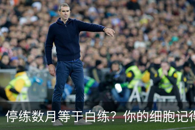 停练数月等于白练？你的细胞记得每一次流汗