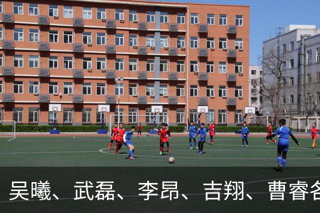 吴曦、武磊、李昂、吉翔、曹睿各持股20%，凑出江苏茉莉瑞博恩！