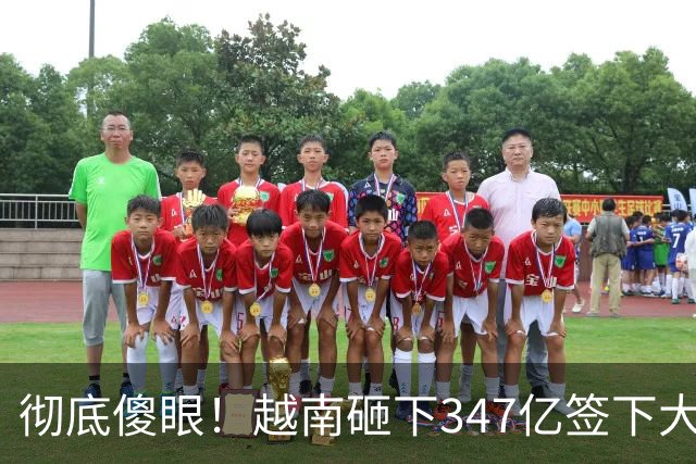 彻底傻眼！越南砸下347亿签下大单，4天后中方一纸禁令，项目悬了