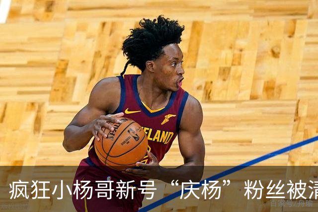 疯狂小杨哥新号“庆杨”粉丝被清零，记者实测：关注不计入粉丝量