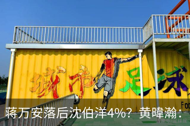蒋万安落后沈伯洋4%？黄暐瀚：联合报民调挑动蓝营选民敏感神经