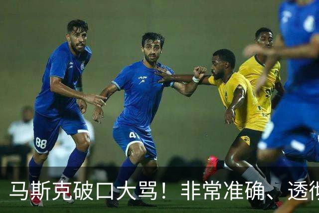 马斯克破口大骂！非常准确、透彻、到位