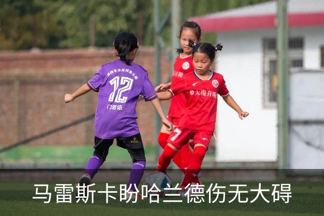 马雷斯卡盼哈兰德伤无大碍